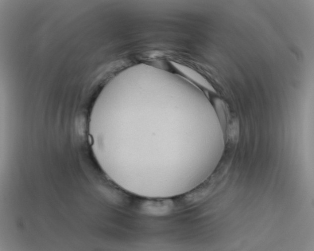 X0000113560571200910161459