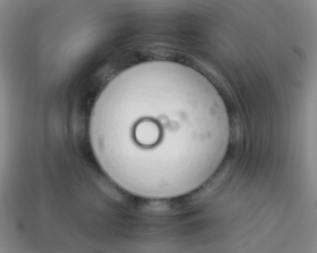 X0000113560573200910161459