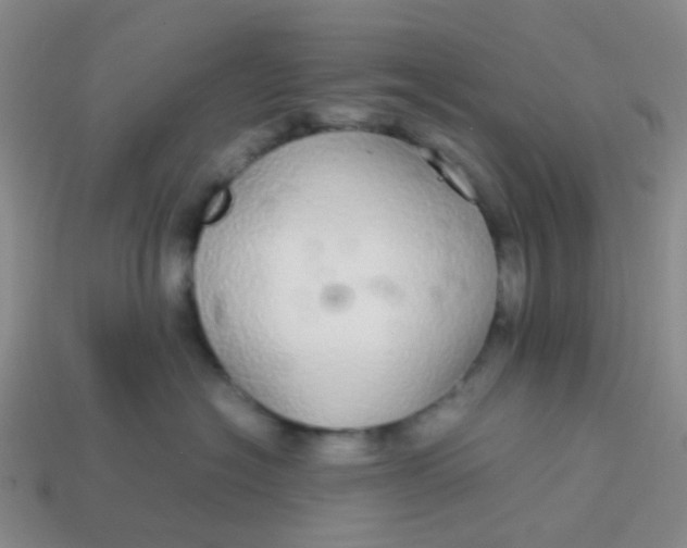 X0000113560574200910161459