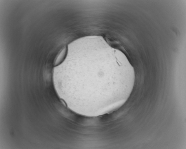 X0000113560576200910161459
