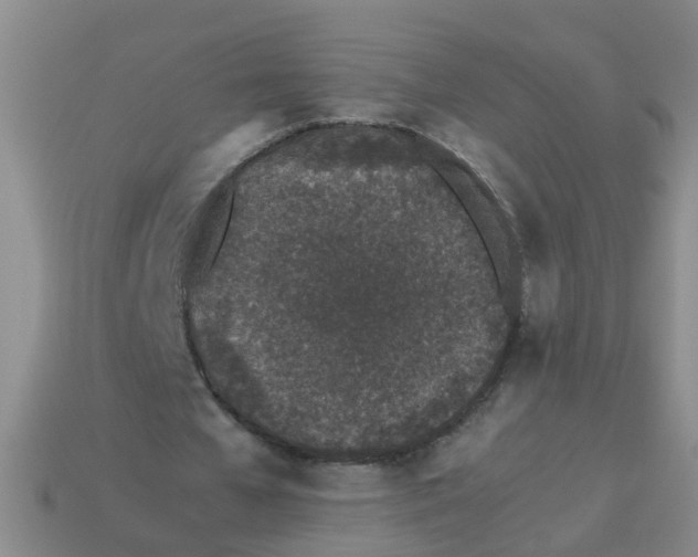 X0000113560577200910161458
