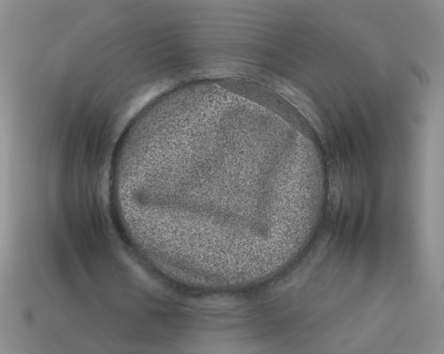 X0000113560578200910161458
