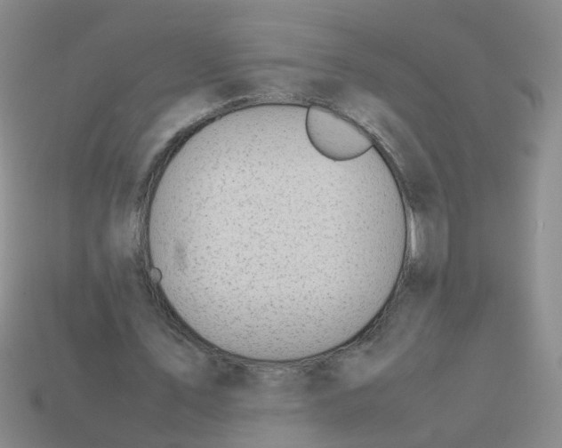 X0000113560579200910161458