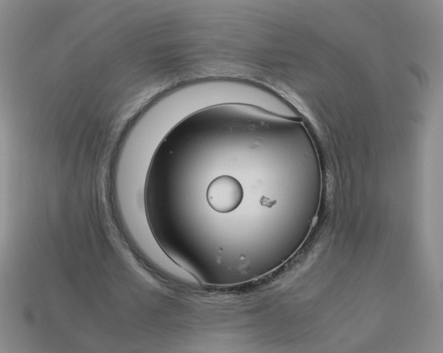 X0000113560581200910161458