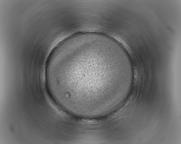 X0000113560582200910161458