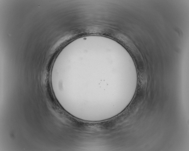 X0000113560583200910161458