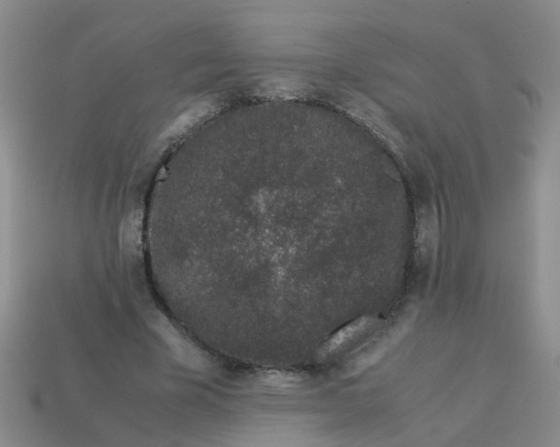 X0000113560585200910161458
