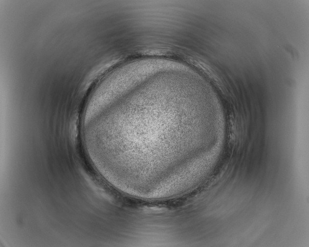 X0000113560586200910161458