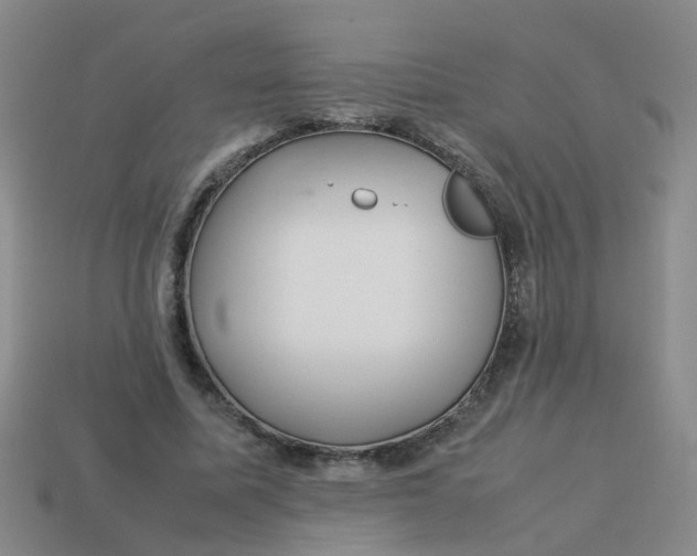 X0000113560587200910161458