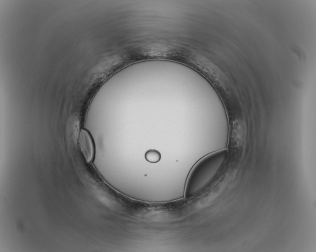 X0000113560589200910161458