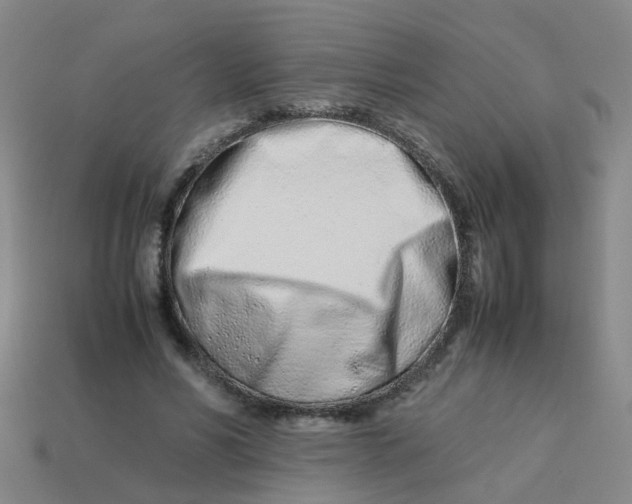 X0000113560590200910161458