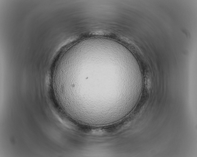 X0000113560591200910161458