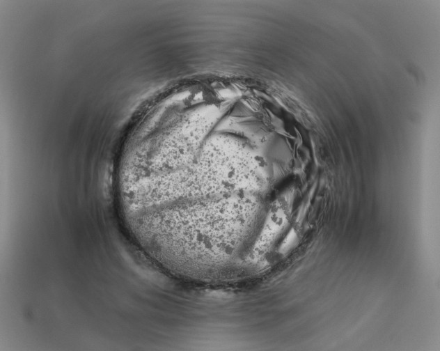 X0000113560592200910161458