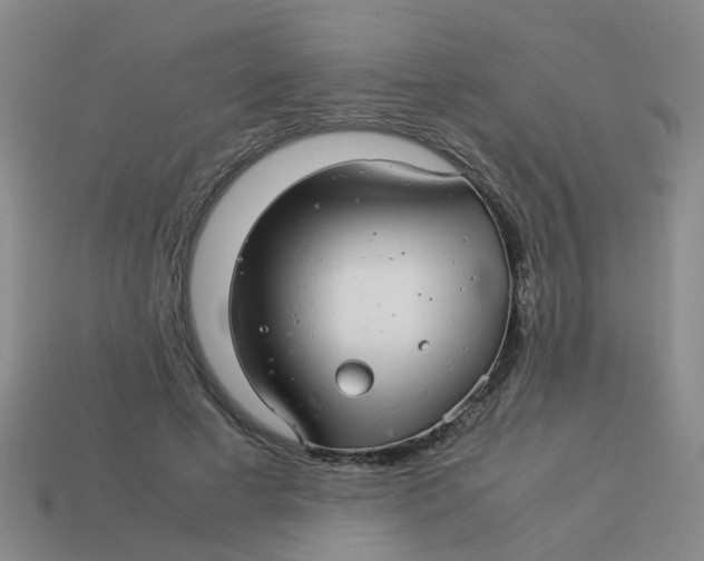 X0000113560593200910161458