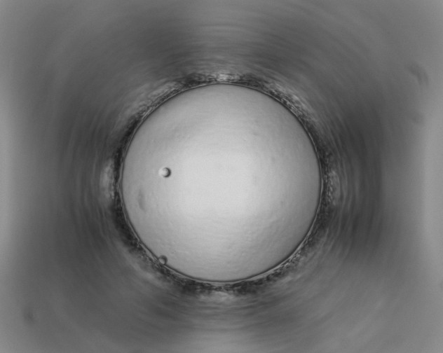 X0000113560594200910161458