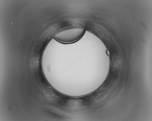 X0000113560595200910161458