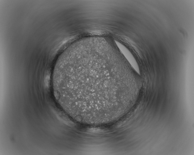 X0000113560596200910161458