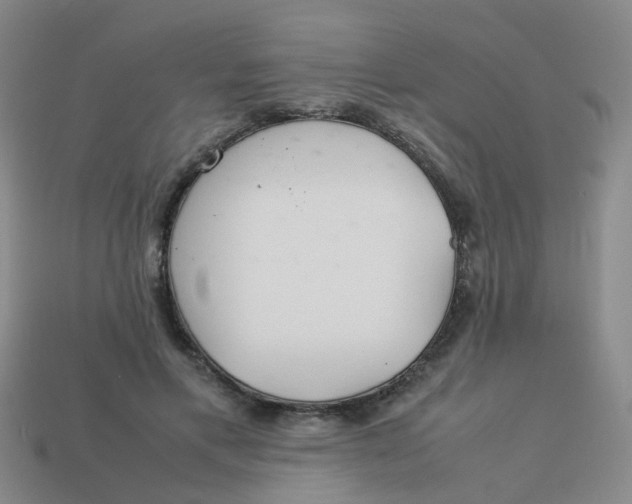 X0000113560597200910161458