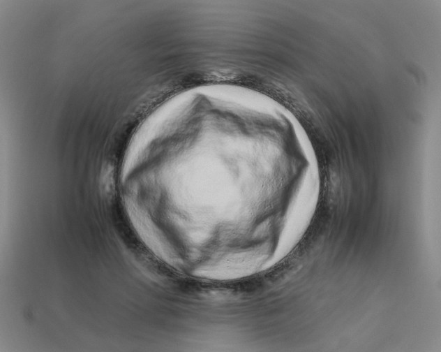 X0000113560598200910161458