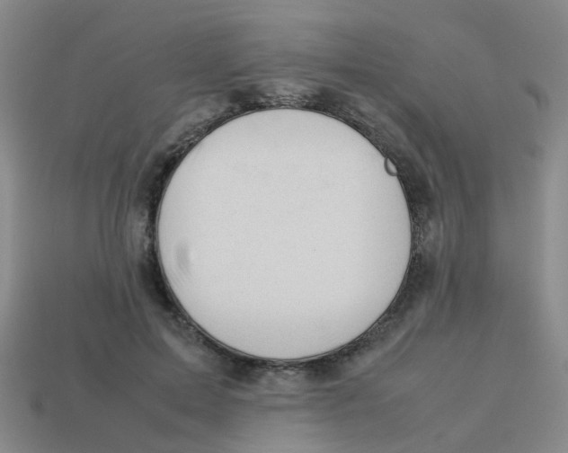 X0000113560599200910161458
