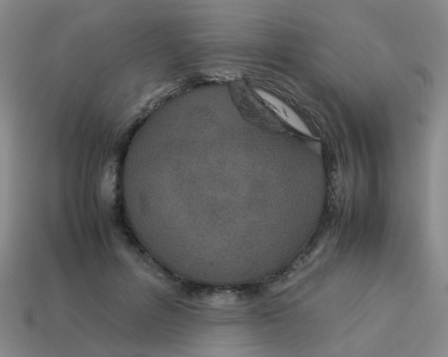 X0000113560600200910161458