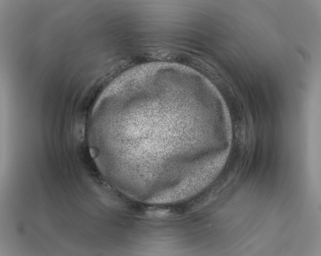 X0000113560602200910161458