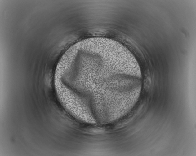 X0000113560604200910161458