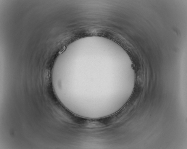 X0000113560605200910161458