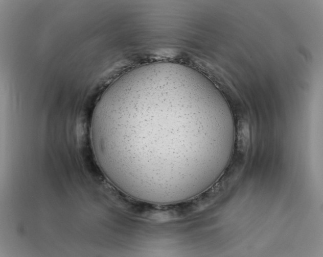 X0000113560608200910161457