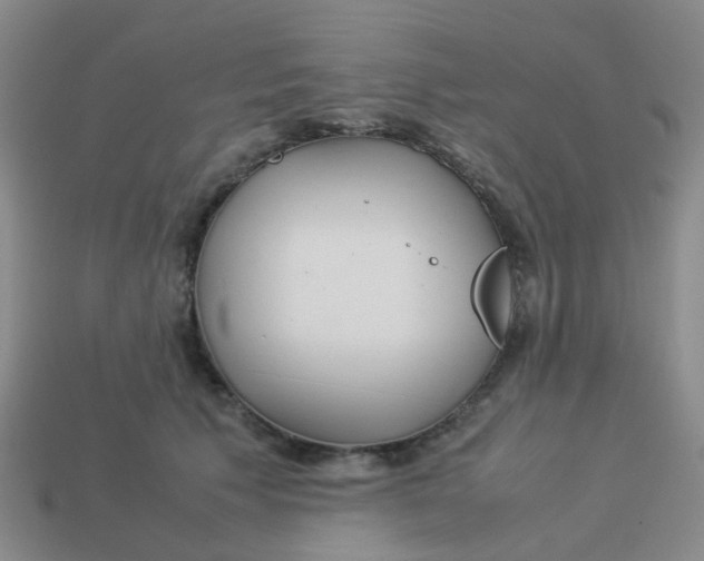 X0000113560609200910161457