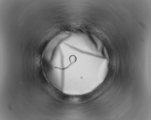X0000113560610200910161457