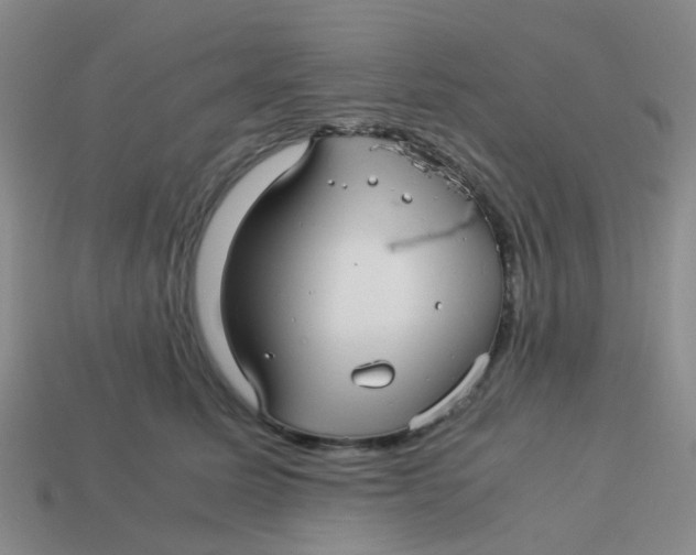 X0000113560611200910161457