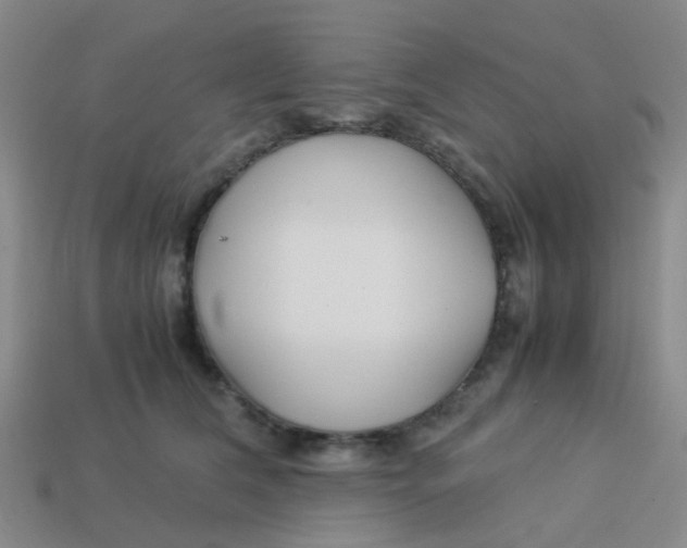 X0000113560612200910161457