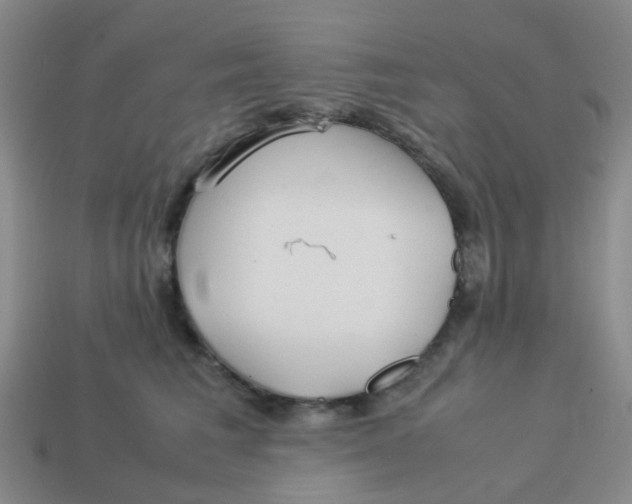 X0000113560613200910161457