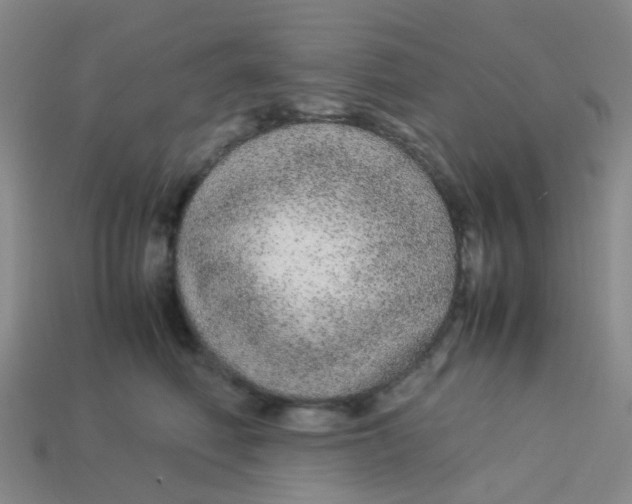 X0000113560614200910161457