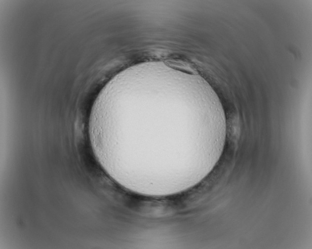 X0000113560615200910161457