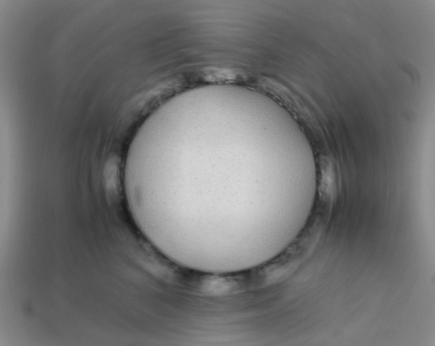 X0000113560616200910161457