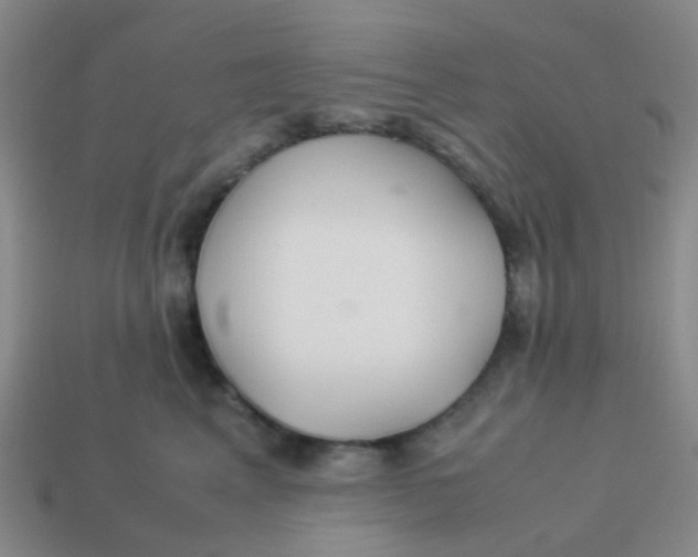 X0000113560617200910161457