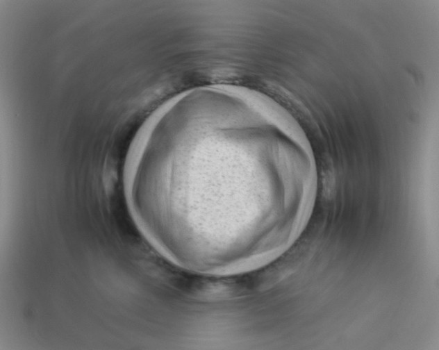 X0000113560618200910161457