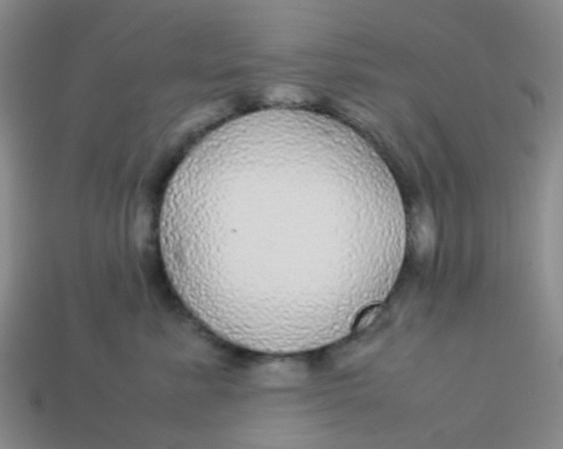X0000113560619200910161457