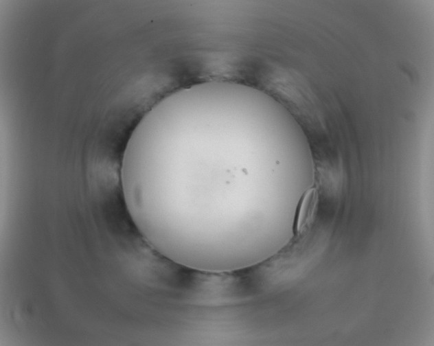 X0000113560621200910161457