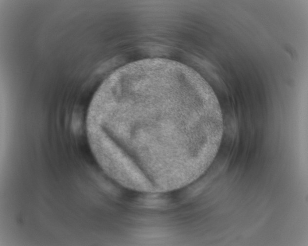 X0000113560622200910161457