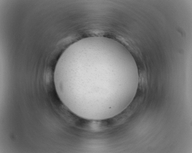X0000113560623200910161457