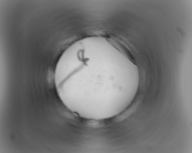X0000113560624200910161457