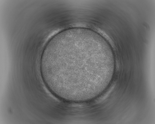X0000113560625200910161457