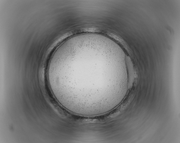 X0000113560626200910161457