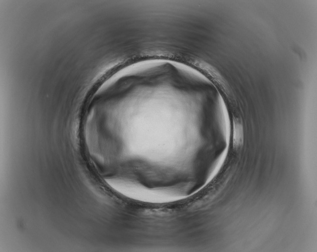 X0000113560627200910161457