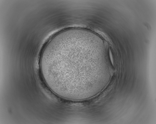 X0000113560628200910161457