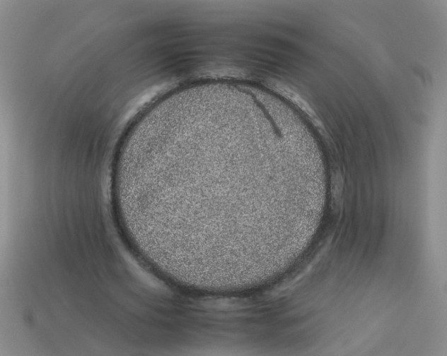 X0000113560629200910161457