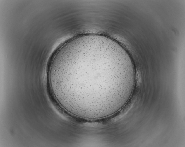 X0000113560630200910161457
